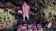 Detienen a dos hombres que intentaron ingresar a Tucumán con 26 kilos de marihuana