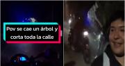¡Para la anécdota! Motoqueros sanjuaninos movieron un árbol caído en una ruta y se hicieron virales