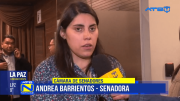 Senado aprueba créditos por casi $us 500 millones antes de concluir su gestión