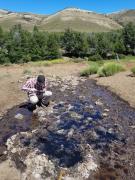 En Bariloche usan hongos para favorecer la biorremediación de áreas hidrocarburíferas