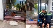 EN VIDEO: Sorprendieron a mujer abriendo la tumba de su novio, lo que pretendía hacer dejó a todos en shock