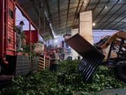 Histórico mes para las exportaciones de yerba mate: se enviaron al exterior en septiembre más de 7 millones de kilos