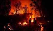 Italia: incendios forestales afectan 94 mil hectáreas de bosques
