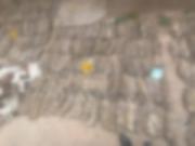 Oruro: hallan 581 vizcachas muertas en un domicilio; dos personas fueron aprehendidas