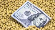 La soja toca los u$s400 en Chicago tras la confirmación de compras de China: ¿cómo afecta a Argentina?