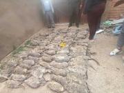 Piden cárcel para los traficantes de vizcachas