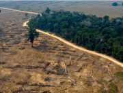 Brasil reporta récord en protección de la Amazonía