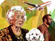 La nueva historia de Marcelo Birmajer: El accidente