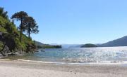 Ni Bariloche ni San Martín: el Caribe de la Patagonia con playas turquesas que está escondido en Neuquén