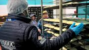 Defensa del Consumidor inspecciona hornos panificadores y sanciona incumplimientos