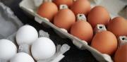¿Los huevos marrones son más saludables que los blancos?
