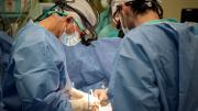 Los profesionales del Hospital Garrahan realizaron cuatro trasplantes en 34 horas