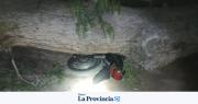 Un árbol cayó sobre una moto en Ullum y de milagro no terminó en tragedia