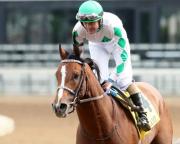 ¡Último minuto! Mystik Dan ganador del Kentucky Derby no participara en la BC Dirt Mile por estos motivos