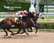 ¡Hat-trick para el muchacho de la película! Emisael Jaramillo mete un batacazo de $40 a ganador en la taquilla en Gulfstream Park