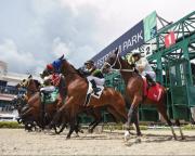 Victorias venezolanas generan un pagó de 350 dólares en Pick3 en Gulfstream Park