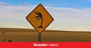 Alerta por viento fuerte en Santa Cruz: restringen la circulación en rutas