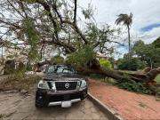 Las lluvias y los fuertes vientos provocan la caída de cinco árboles; dejan un herido y un vehículo dañado