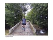 El Camino de Santiago, un viaje a la memoria (por Alejandro Vásquez Escalona)