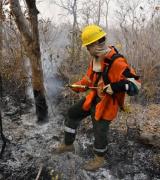 Bolivia reporta seis incendios activos