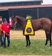 Esto dijo el entrenador de Forever Young tras ganar la Breeders’ Cup Classic G1