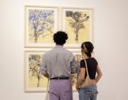 Entre raíces y billetes: El arte como retorno a lo esencial