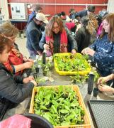 Inacap impulsa innovación hortícola con talleres de hidroponía apoyados por Corfo