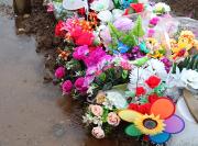 Familia afectada con problemas en cementerio de Aysén: Tenemos pruebas, tenemos fotos