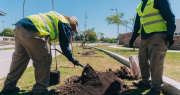 Más verde: la importante tarea de reforestación que realizan en un parque sanjuanino