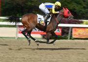 La cuna de ganadores vuelve a producir: Hermano materno de Futuro y Caminante debuta en la pista caraqueña