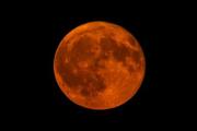 La Superluna del Castor iluminará el cielo este #5Nov