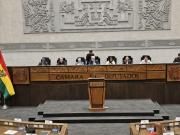 Cuarto intermedio en sesión preparatoria; elegirán el jueves a la directiva de Diputados