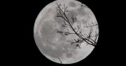 La superluna más cercana y luminosa del año será visible este miércoles 5 de noviembre