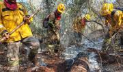 Defensa exige investigar y sancionar a responsables de incendios provocados en Cochabamba
