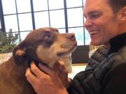 La leyenda de la NFL Tom Brady revela que clonó a su perra: Es una segunda oportunidad