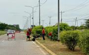 Gobernación del Zulia desarrolla jornada de saneamiento y desmalezamiento en la avenida Don Manuel Belloso