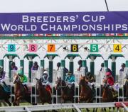 ¡Pica y se extiende el lio de los retirados! Esto dijo el director de carreras tras la aparición retirados en las Breeders Cup