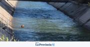 Rescataron a un perro atado y abandonado en un canal de San Martín