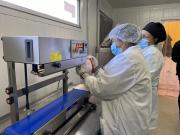 Hortaliceras de Cauquenes concretan su primera venta al Programa de Alimentación Escolar gracias a alianza entre JUNAEB e INDAP