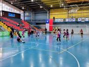 Vóleibol : Hoy finaliza segunda versión del Torneo de Damas U 14 y 16 Panteras Cup