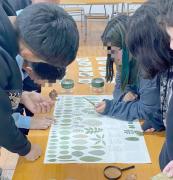Talleres participativos en Curepto y Chanco: Profesores y escolares toman conciencia sobre importancia de proteger y conservar la especie ruil