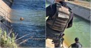 Policías rescataron a un perro que estaba atado en un canal en San Martín