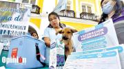 Salud anuncia vacunación contra la rabia para el 29 y 30 de noviembre