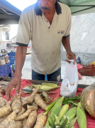 Nueva feria de verduras y frutas en el Paseo de Macuto