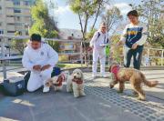 Confirman una muerte por rabia humana en Santa Cruz