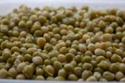 La producción de legumbres marcó un nuevo récord y creció 57% interanual