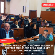 Castillo afirma que la próxima semana se tratará en el pleno de la ALDT la Ley Electoral Departamental