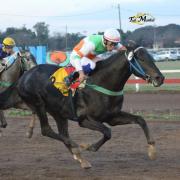 El ganador del Batalla tendrá un duro desafío el domingo en el hipódromo tucumano