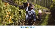 Reforma vitivinícola: Gobierno eliminó 973 normas para simplificar los trámites del sector