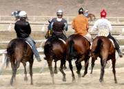 Una de las yeguas de Carlos Radelli quedó retirada del 5y6 de La Rinconada